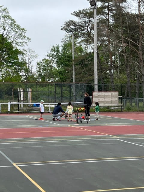 Hantsport Tennis Club - Lessons